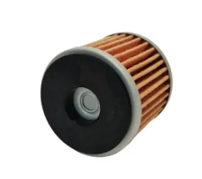 Filtro Aceite Benelli T.N.T 25