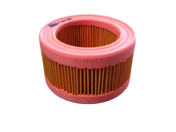 Filtro Aire Zanella Rb 200 / Nt Mann