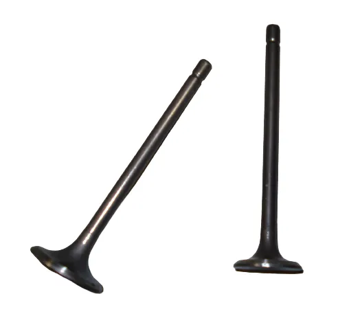 Valvula Adm/Esc Honda Cg 150 / Gaucha Bbb