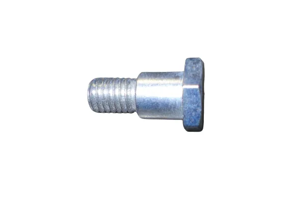 Tornillo Porta Zapata Smash/Bit