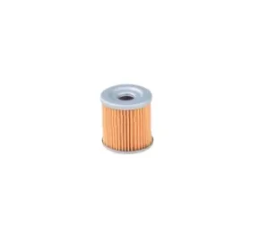 Road Passion Filtro Olio Moto, 2 Pezzi, Compatibile Con YAMAHA XT250, FZR250, XJ600, Radian E Altri, Alta Filtrazione, Materiale Resistente
