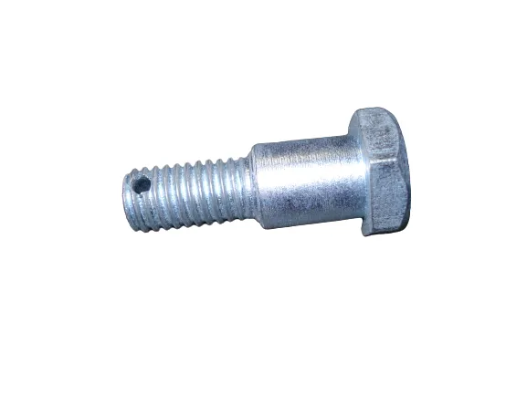 Tornillo Tapa Freno Trasero Smash/Wave