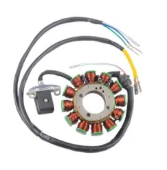 Estator Zanella Rx 200 / Gil. Vcr200 / Grx250