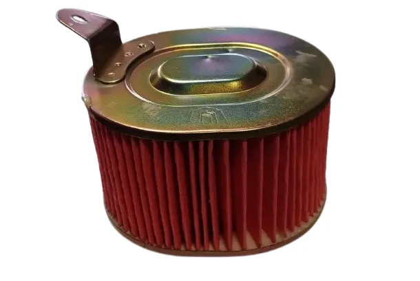 Filtro Aire Benelli Seta 125 Original