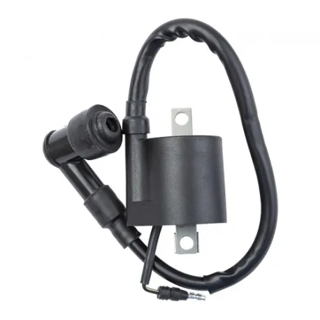 Bobina de Alta Wave 110 S  C/Cable y Capuchon